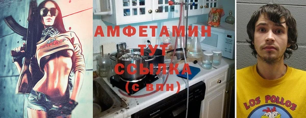 индика Алзамай